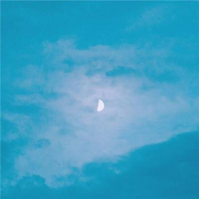 荒野战场游戏